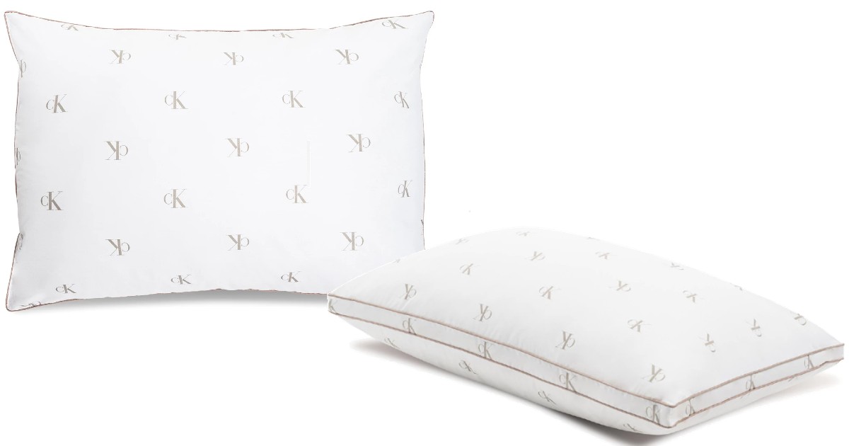 Calvin Klein Pillow Standard/Queen 