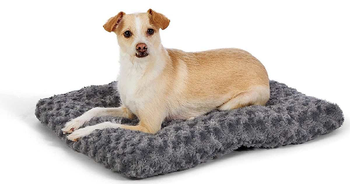 Amazon Basics Plush Dog Pet Bed Pad ONLY $8.38 (Reg. $15)