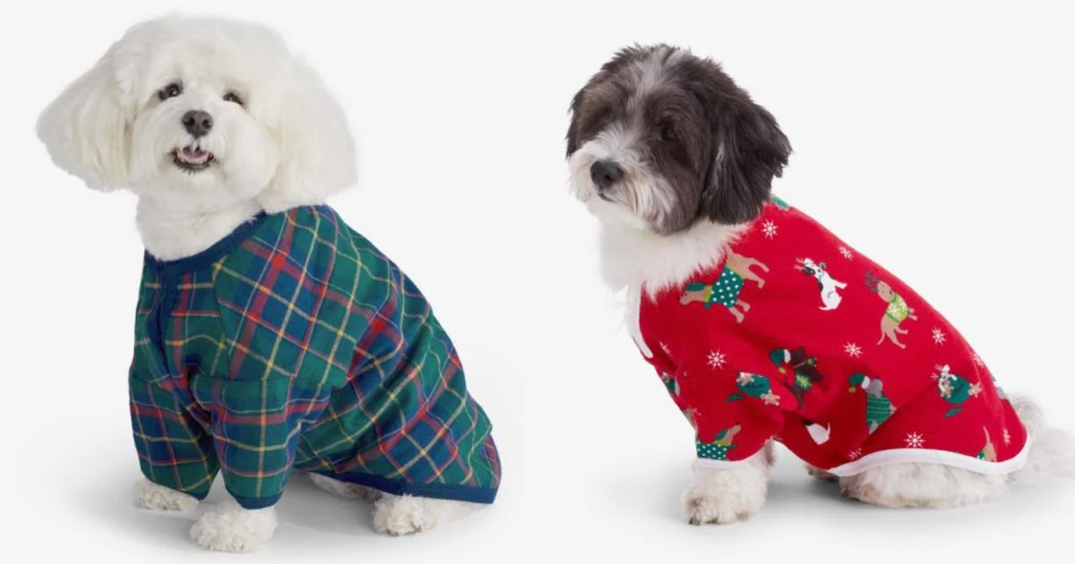 Company Family Flannel Plaid Dog Pajama