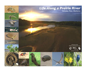 Life Along the Prairie River