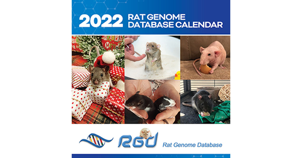 Rat Genome Database
