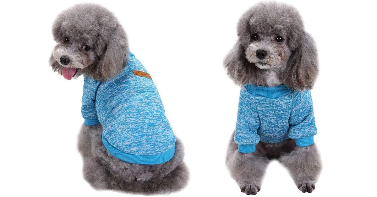 Knitwear Dog Sweater at Amazon