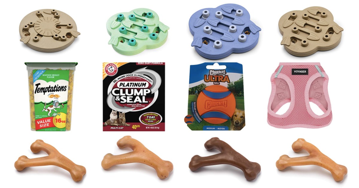 Buy 2 Get 1 Free Pet Products on Amazon Daily Deals & Coupons