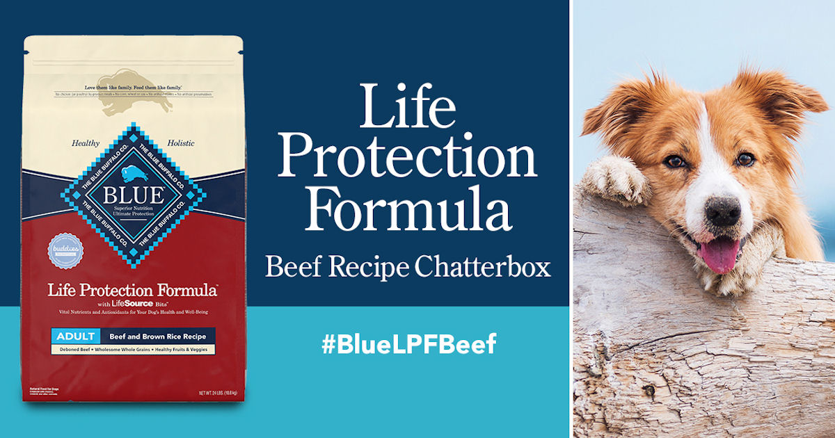 blue buffalo free samples