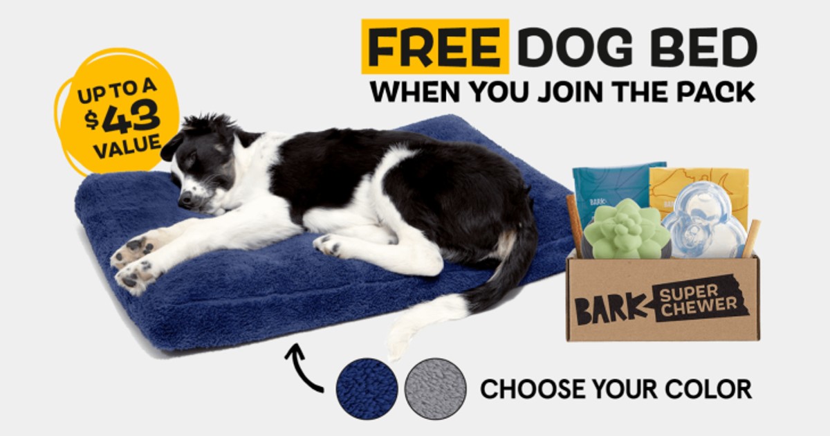 FREE Dog Bed from Super Chewer...