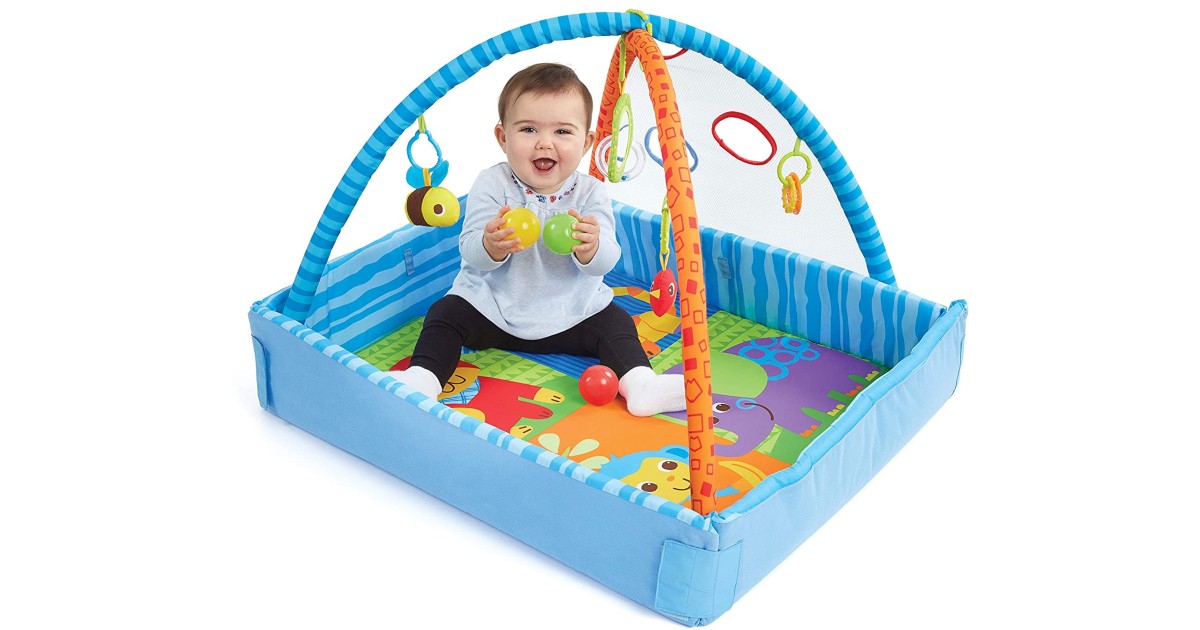 2-In-1 Playgym