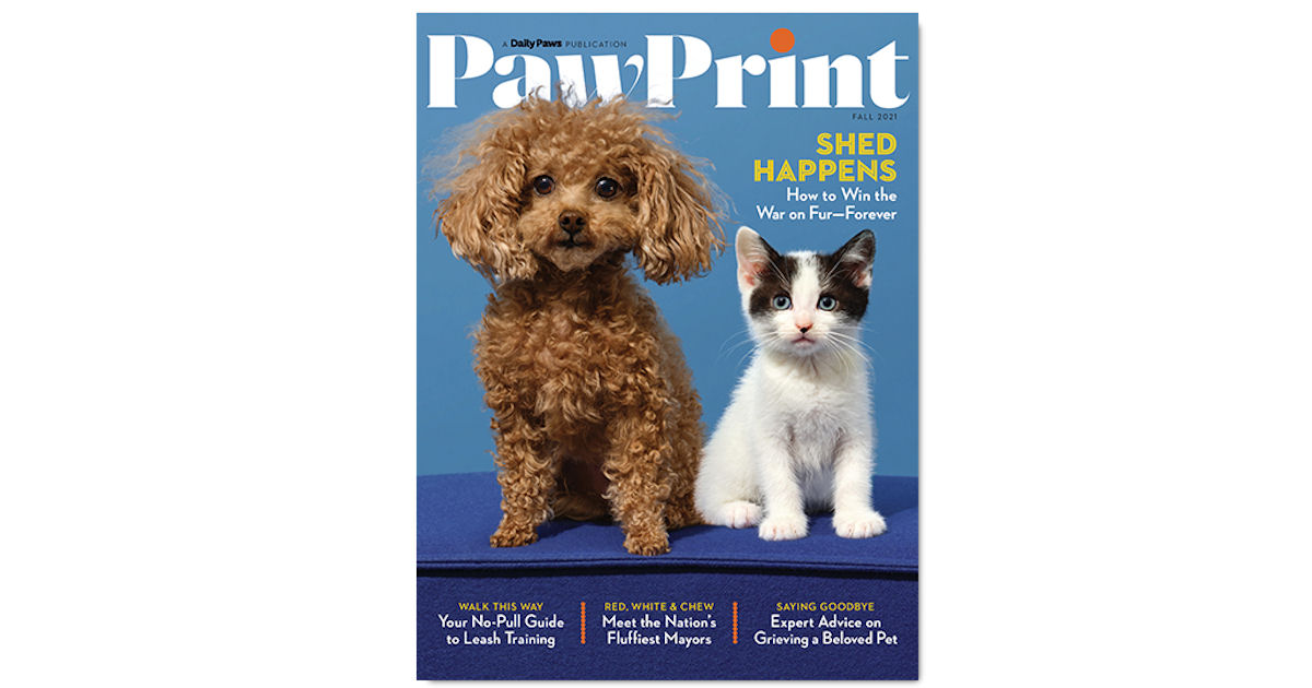 Paw Print Magazine