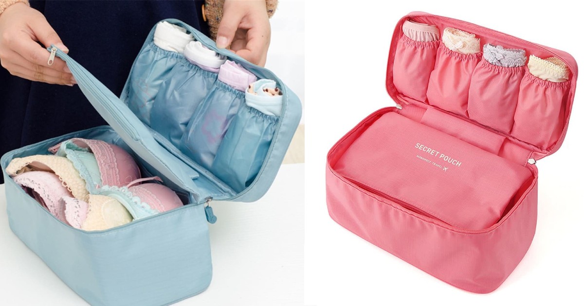 Bra & Underwear Travel Organizer ONLY 13.99 (Reg 30) Deals & Coupons