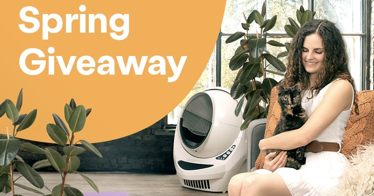 Win a 549 LitterRobot Litter Box Free Sweepstakes, Contests & Giveaways