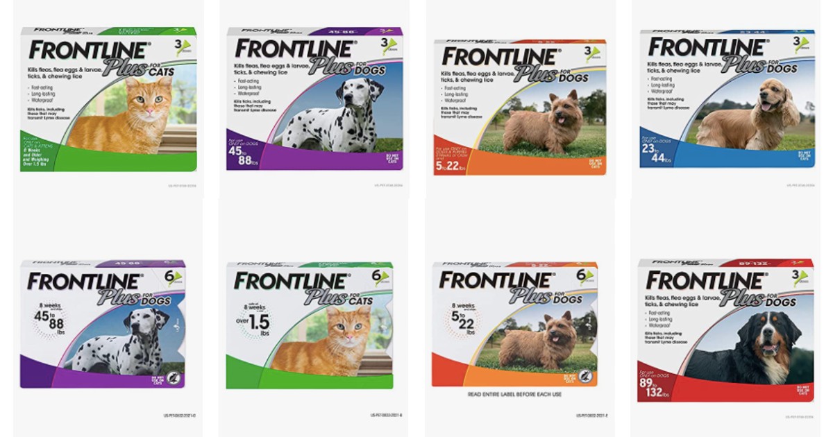 Frontline Plus Flea and Tick on Amazon
