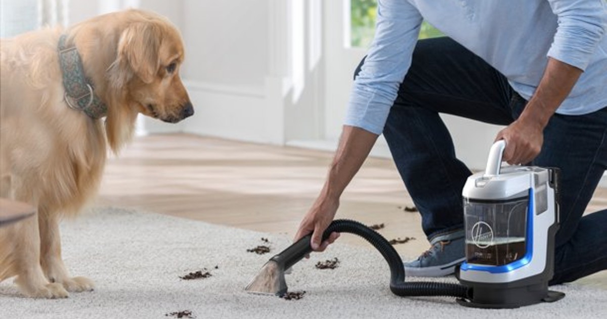 Coupons For Hoover at Kyle Mathers blog