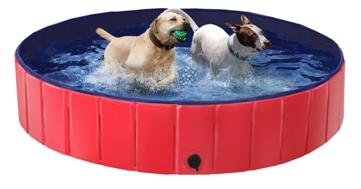 Extra-Large Pet Swimming Pool.
