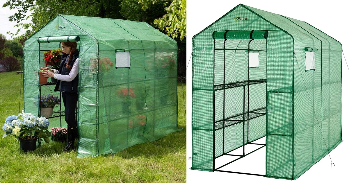 Very Spacious and Sturdy Green House