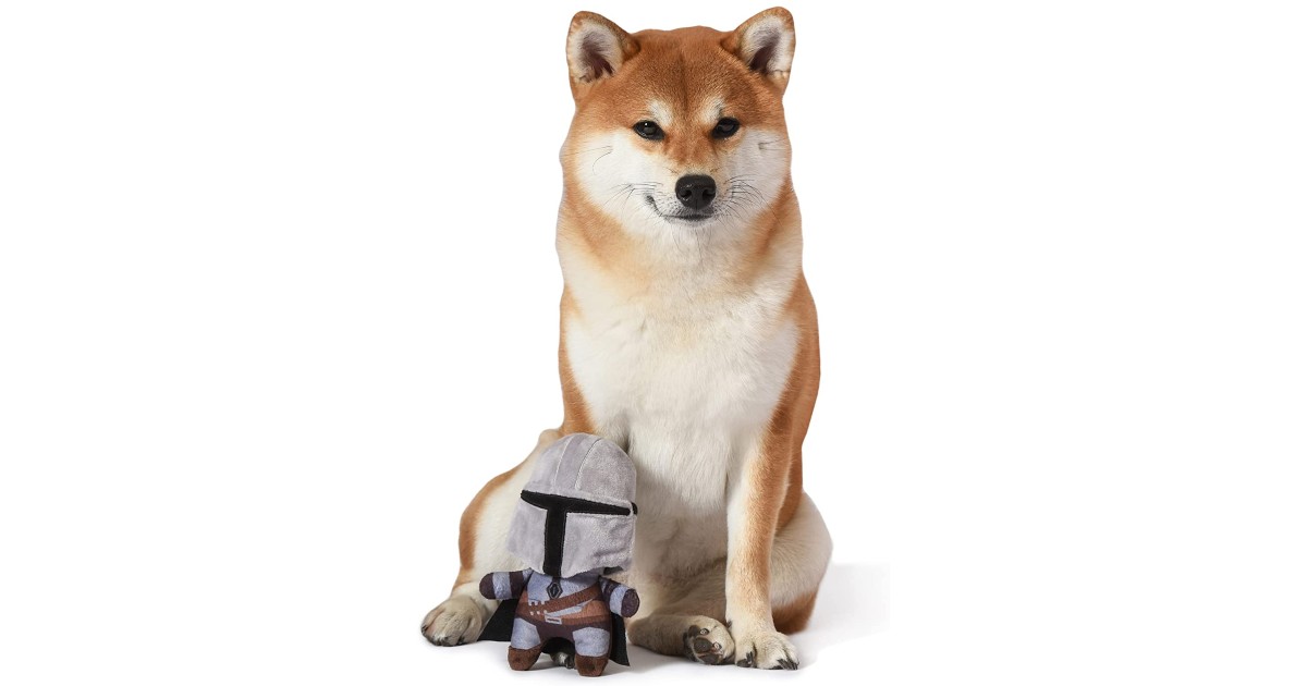 Star Wars Mandalorian Plush Dog Toy