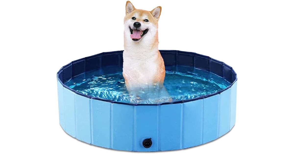 Collapsible Dog Swimming Pool 