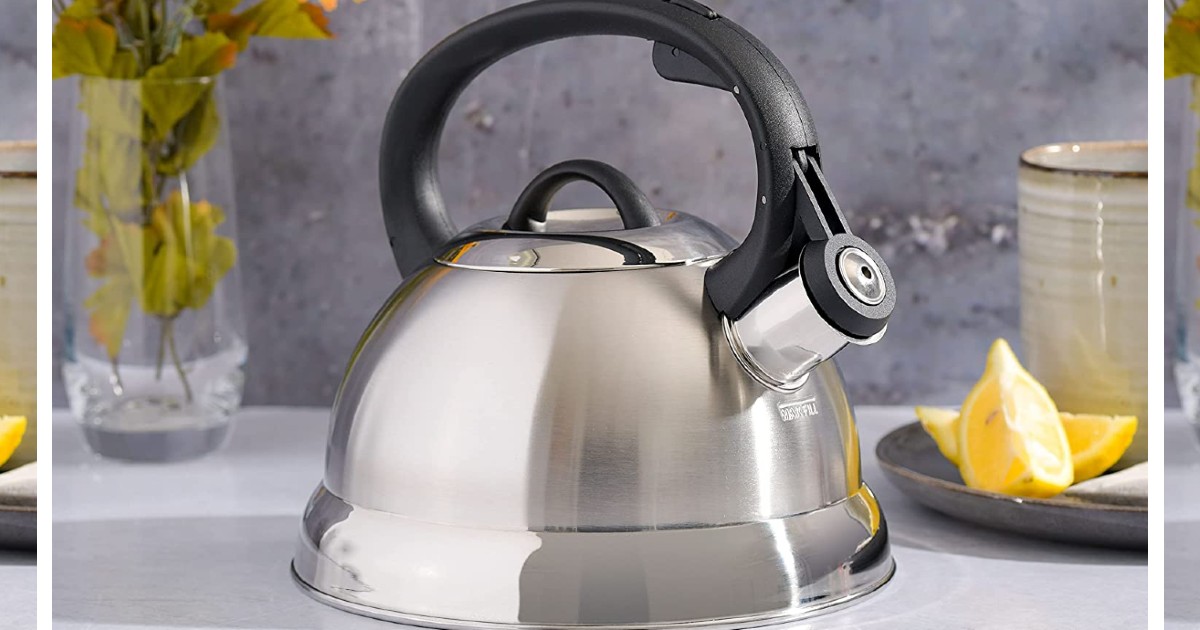 Mr. Coffee Flintshire Whistling Tea Kettle ONLY 9.27 (Reg 20) Daily