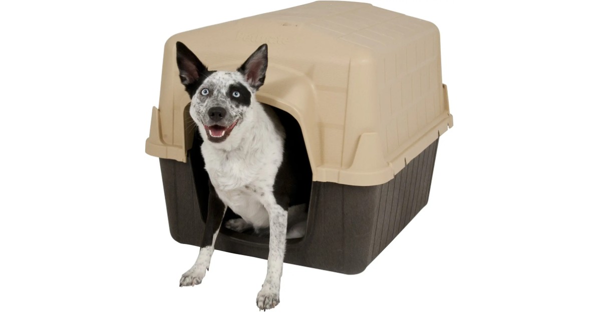 Pet Outdoor Dog House