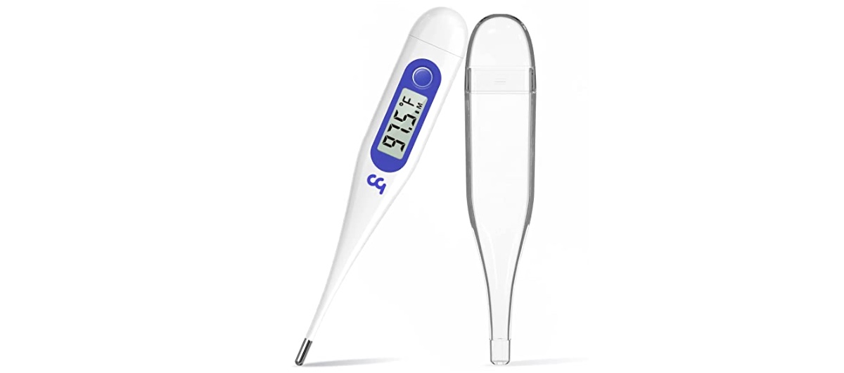 Oral Thermometer ONLY 1.96 (Reg. 6.99) Daily Deals & Coupons