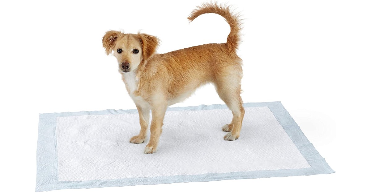 Amazon Basics Dog Pads 60Count ONLY 14.45 (Reg 30) Daily Deals