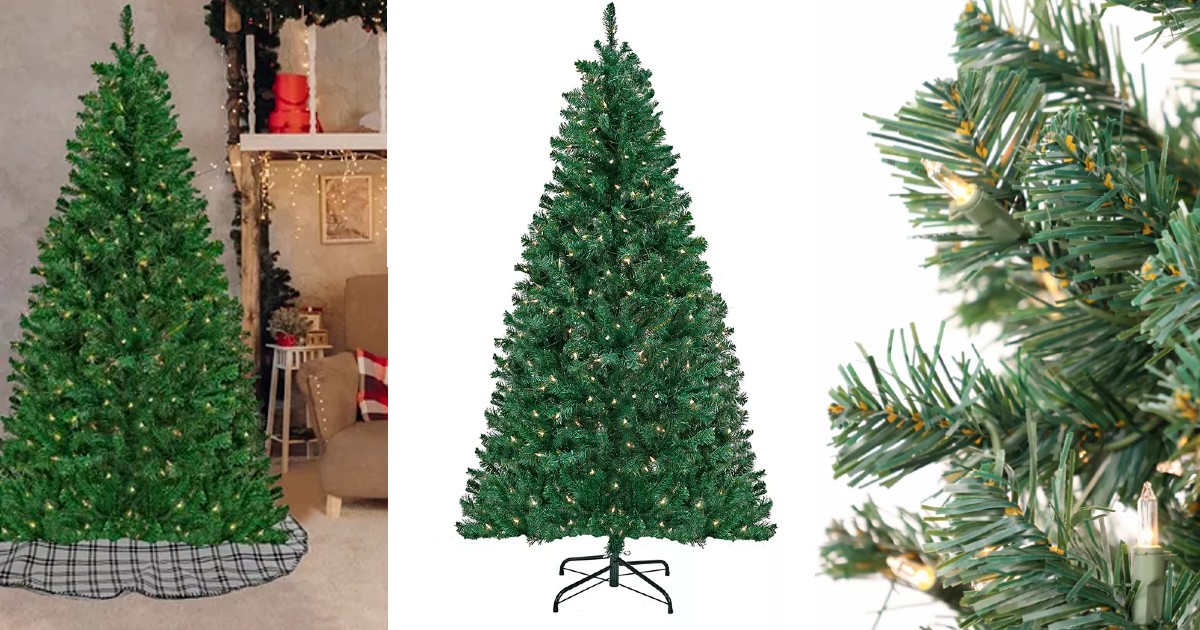 Acacia Pre-lit Christmas Tree 
