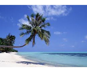 free downloadable nature sounds Click to free download of nature sounds email campaign http.