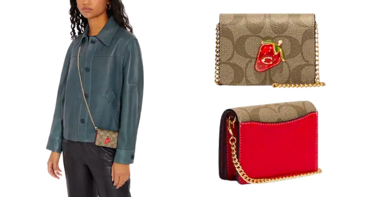 Coach Outlet Mini Chain Wallet ONLY $58.80 (Reg $168)