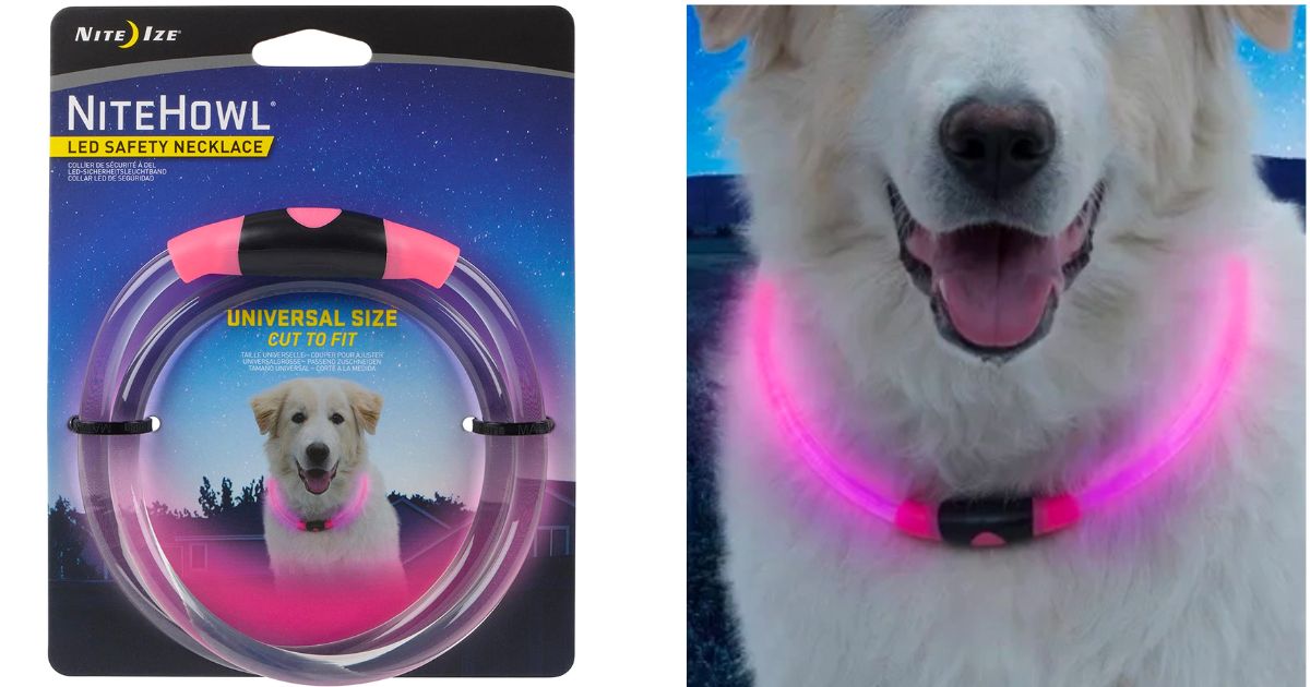 NiteHowl LED Dog Safety Necklace