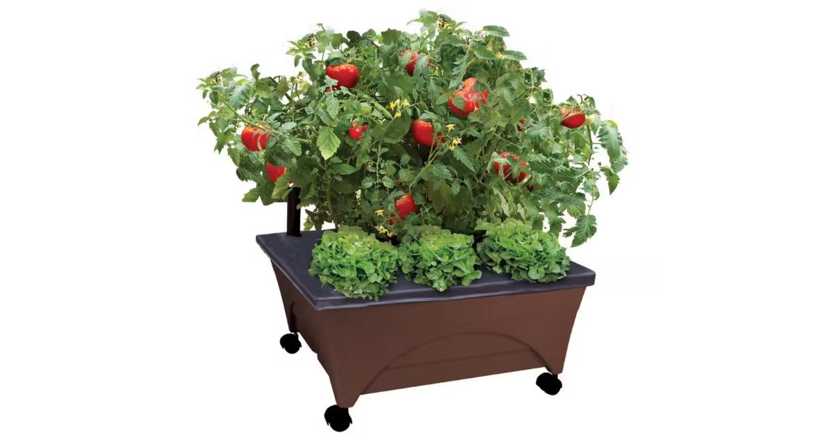 atio Raised Garden Bed Kit at Home Depot