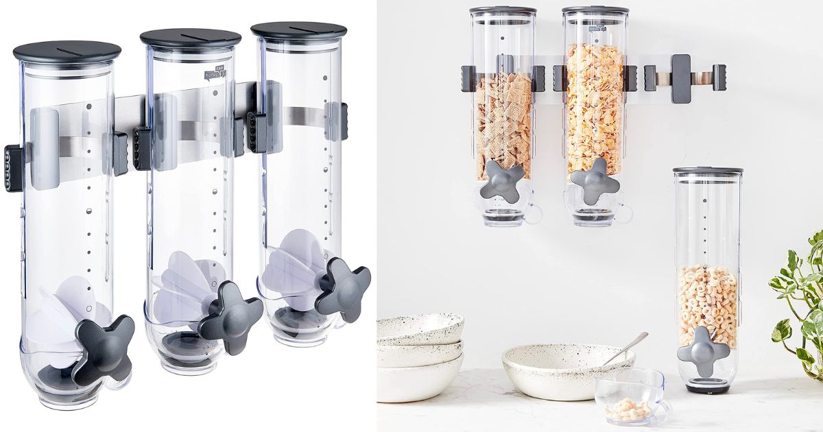 Wall Mounted Dry-Food Dispenser