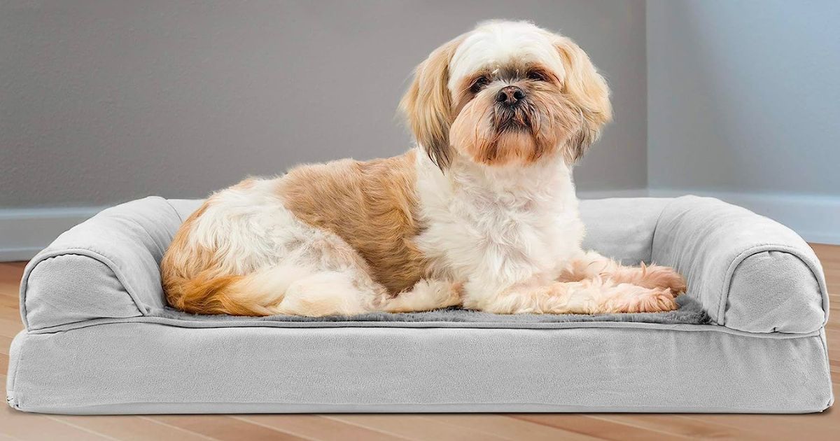 Orthopedic Dog Bed, Medium ONLY 19.99 (Reg 35) Daily Deals & Coupons