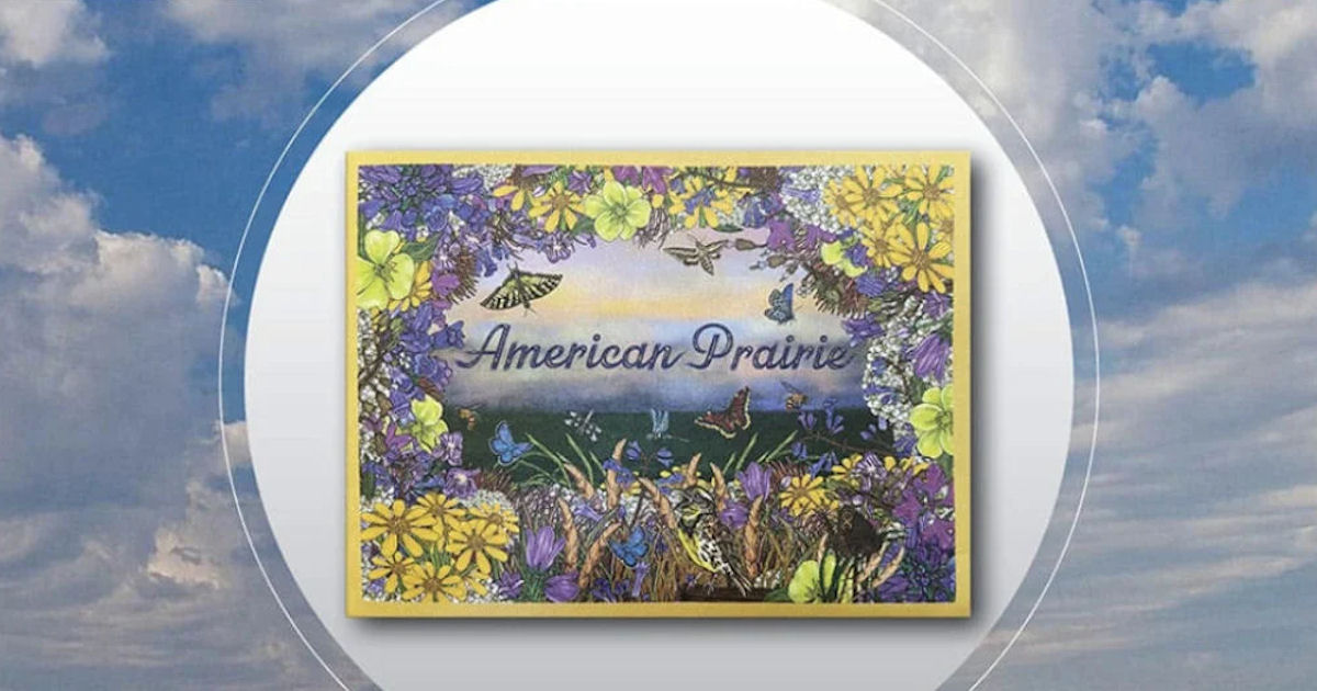 Social American Prairie