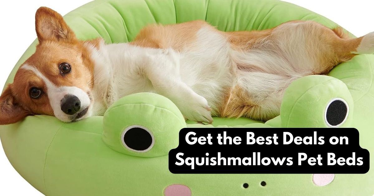 squishmallows pet beds