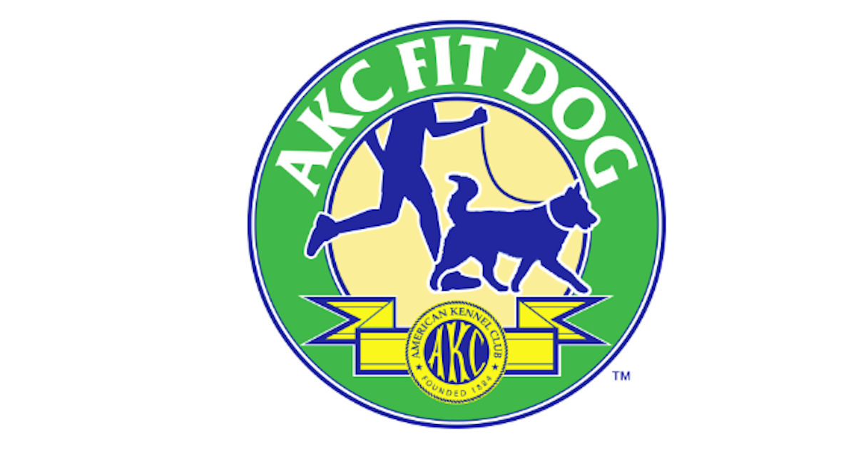 akc fit dog magnet