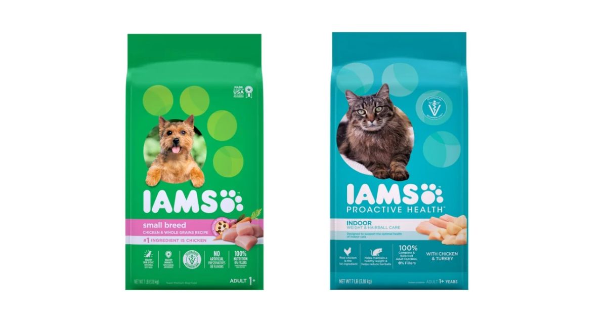 IAMS dog cat food at Walmart
