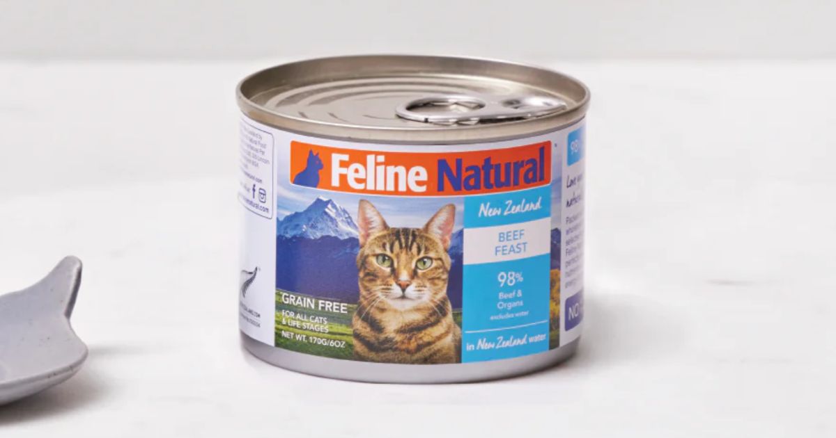 feline natural cat food sample