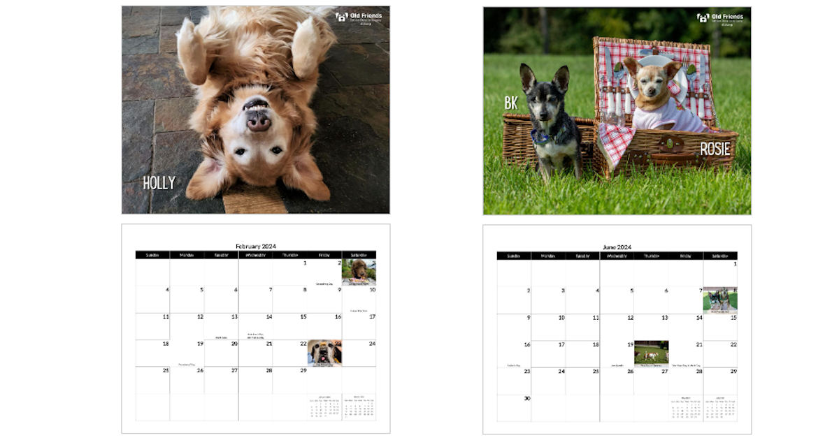 Create Photo Calendars Calendar