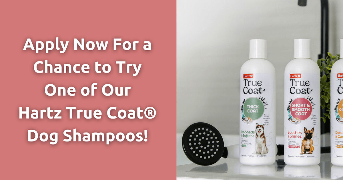 Hartz True Coat Dog Shampoo