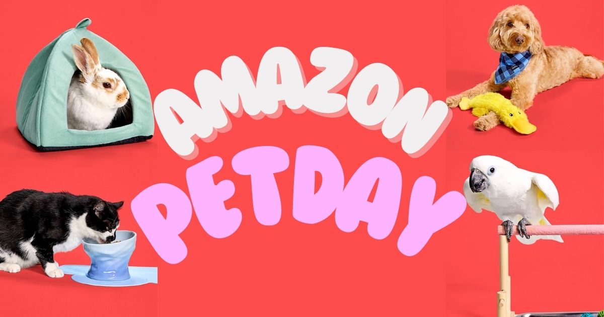 amazon pet day