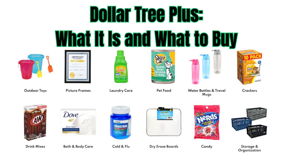 dollar tree plus