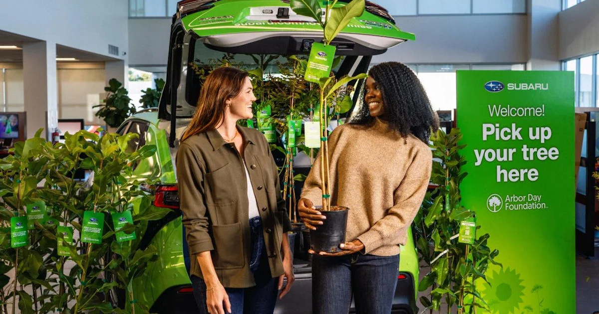 Free Tree from Subaru