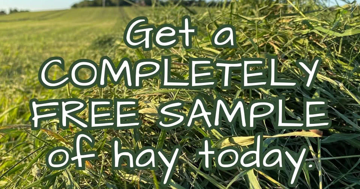 Farmer Dave Pet Supply Hay