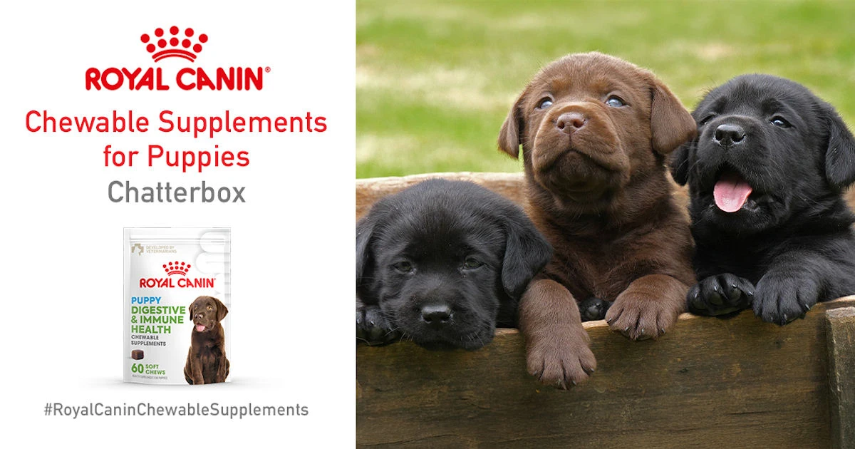 Ripple Street Royal Canin Chewable Supplements