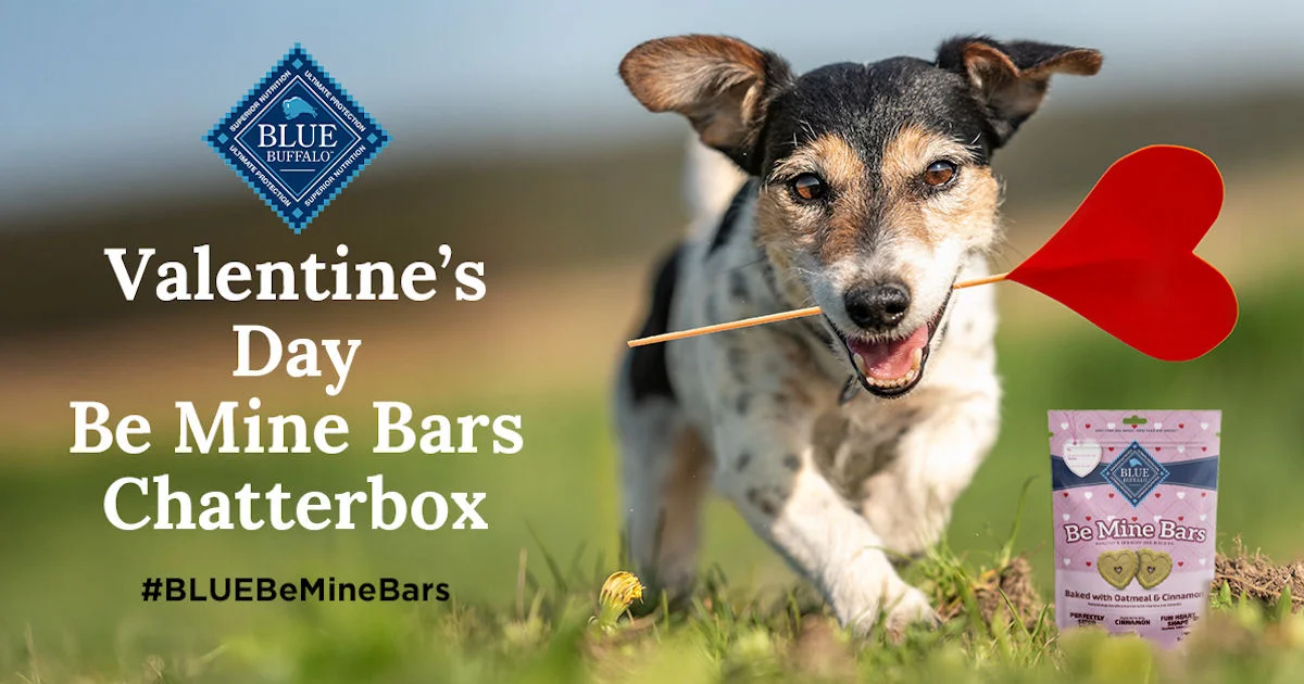 Ripple Street Blue Buffalo Valentine's Day Bars