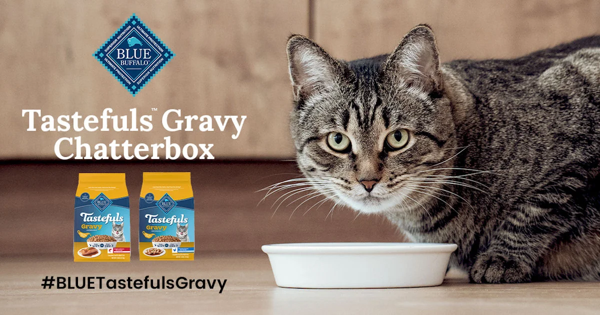 Ripple Street Blue Buffalo Tastefuls Gravy Chat