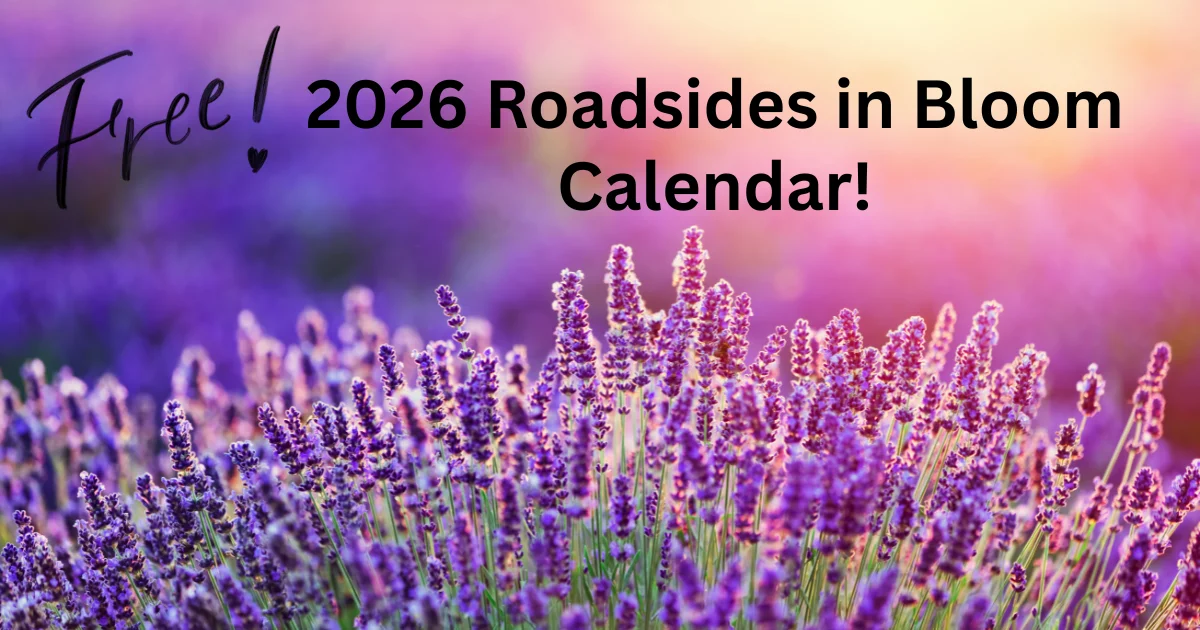 Roadsides in Bloom Calendar 2026