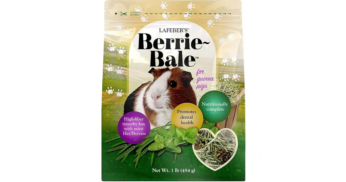 Berrie Bale Mint Free Sample