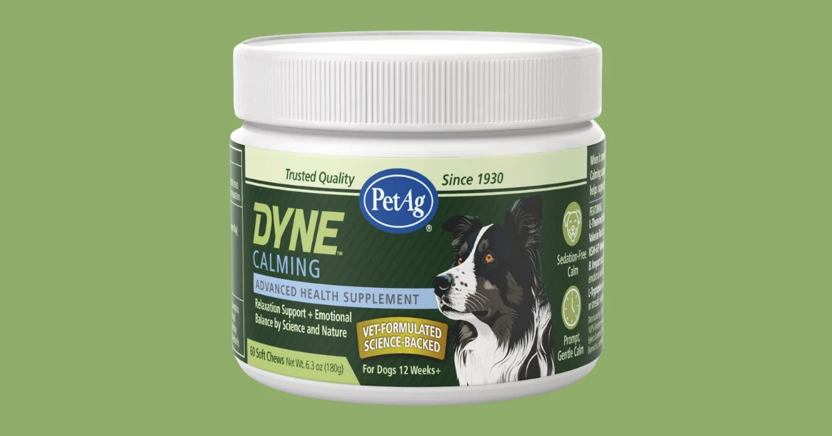 DYNE Calming Soft Chews