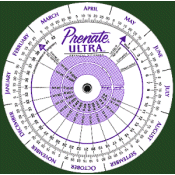 Datalizer Slide Charts Inc