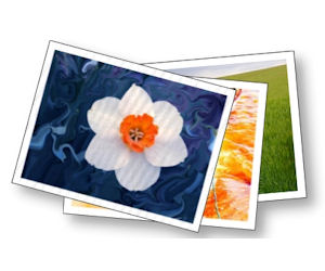 fine art america print on demand fine art america print on demand