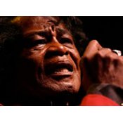 James Brown Concert Download